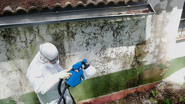 Trusted Bathroom Mold Removal service in Gwynedd Valley, PA - Cheap Mold Removal